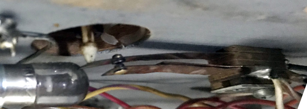 Contact in the switch.